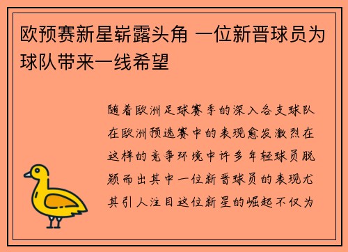欧预赛新星崭露头角 一位新晋球员为球队带来一线希望